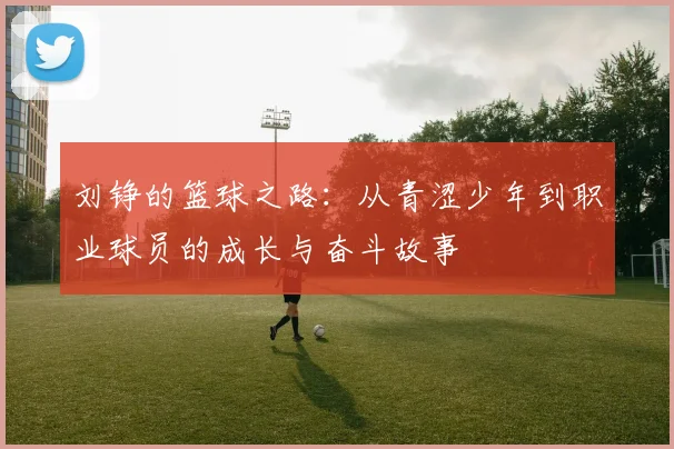 刘铮的篮球之路：从青涩少年到职业球员的成长与奋斗故事