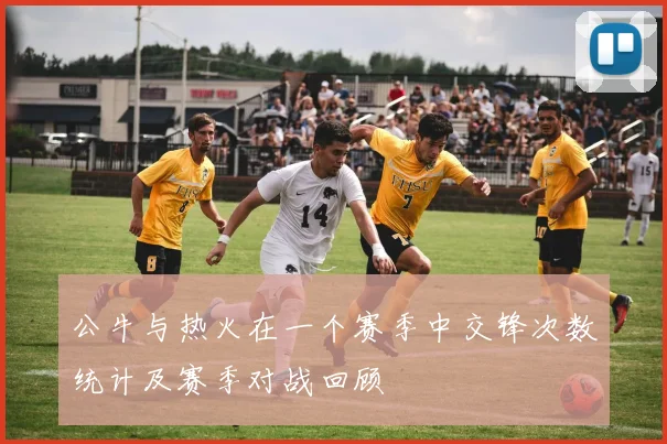 公牛与热火在一个赛季中交锋次数统计及赛季对战回顾